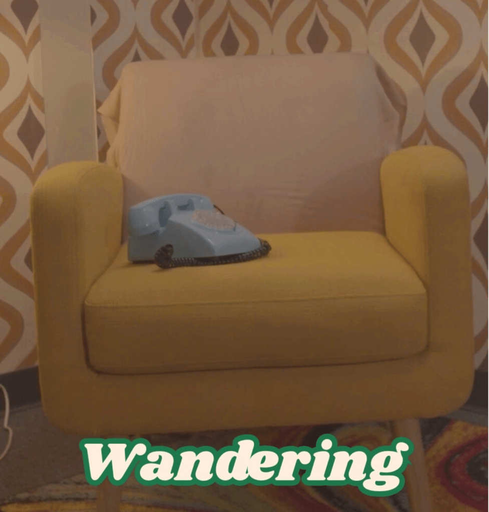 Wandering by Timur Bey 2