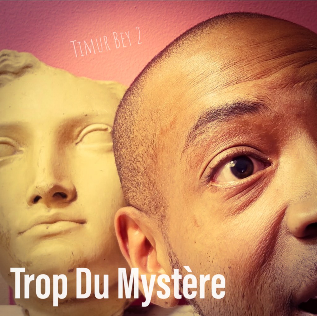 Trop Du Mystère by Timur Bey 2